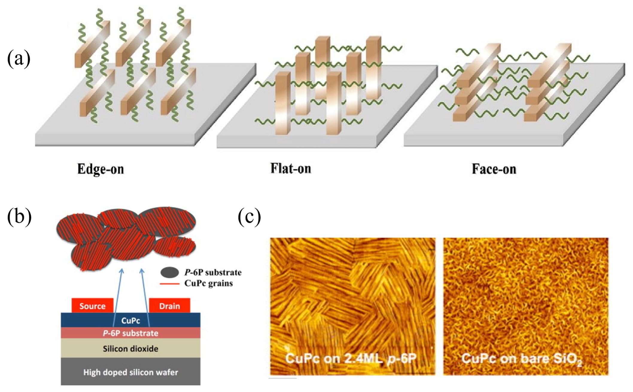 Nanomaterials 15 00680 g004 Nanomaterials 15 00680 g004