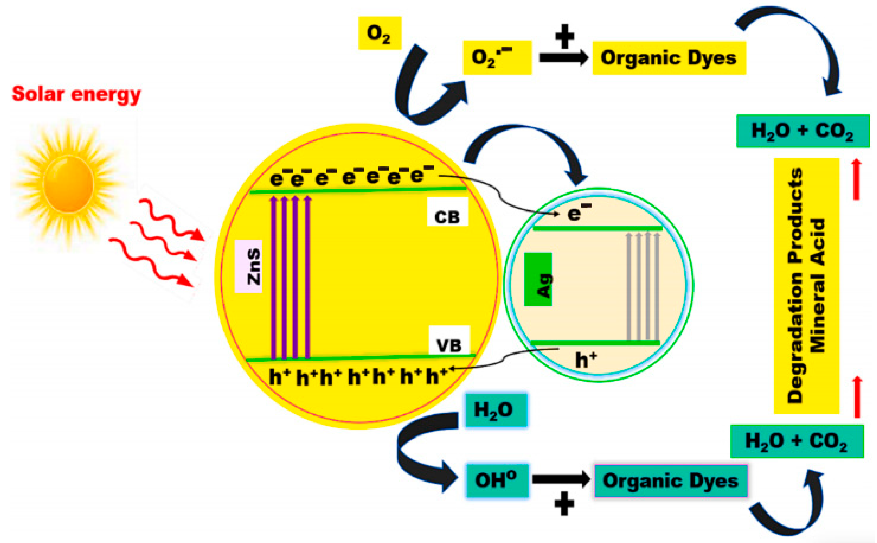 Nanomaterials 15 00681 g003