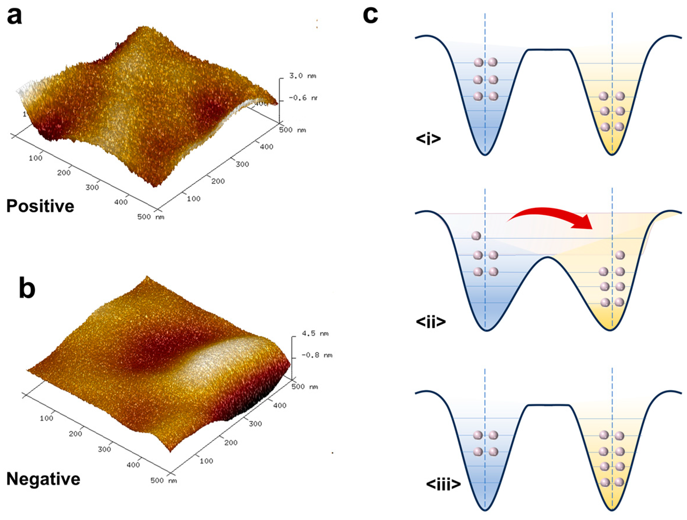 Nanomaterials 15 00708 g003 Nanomaterials 15 00708 g003
