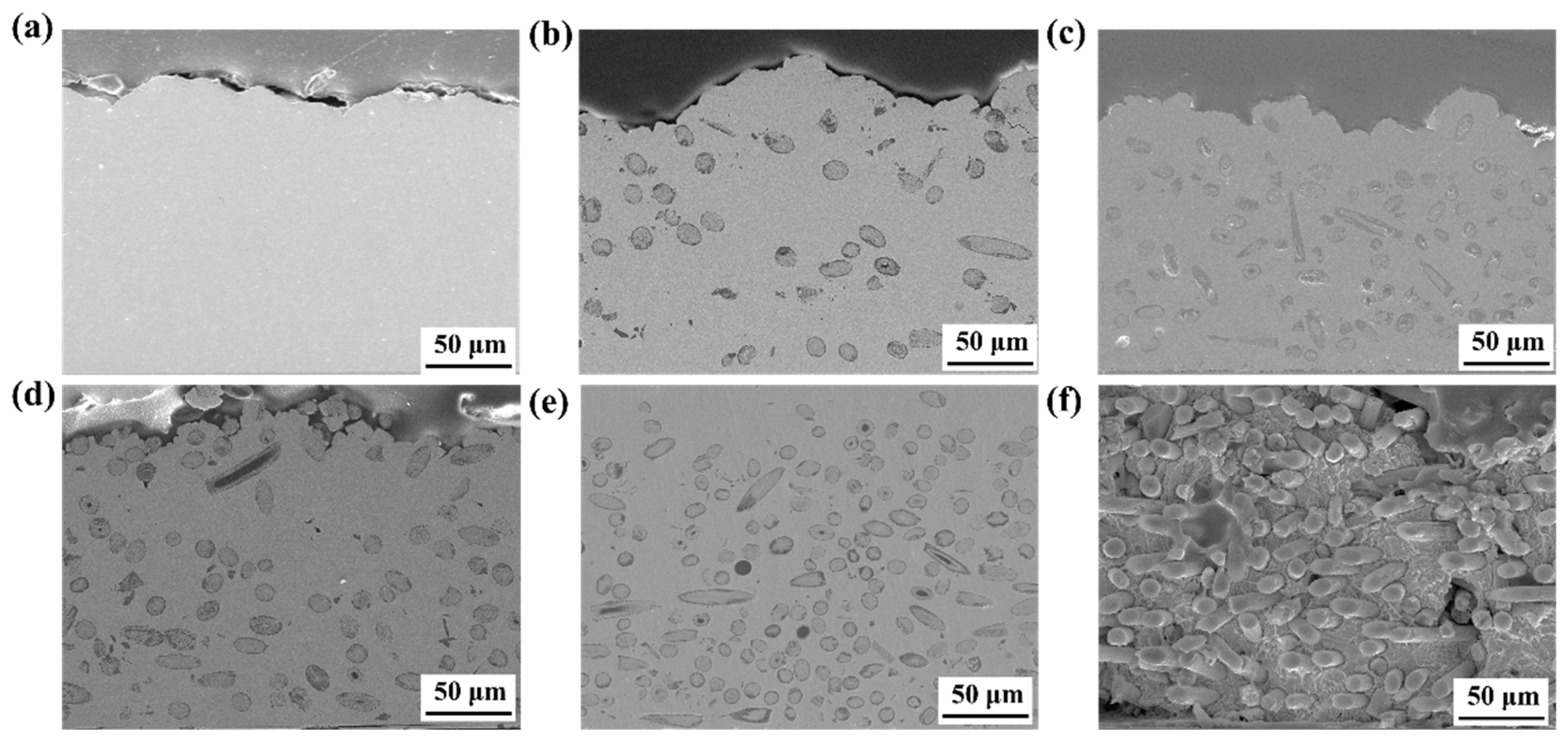 Nanomaterials 15 00718 g003 Nanomaterials 15 00718 g003