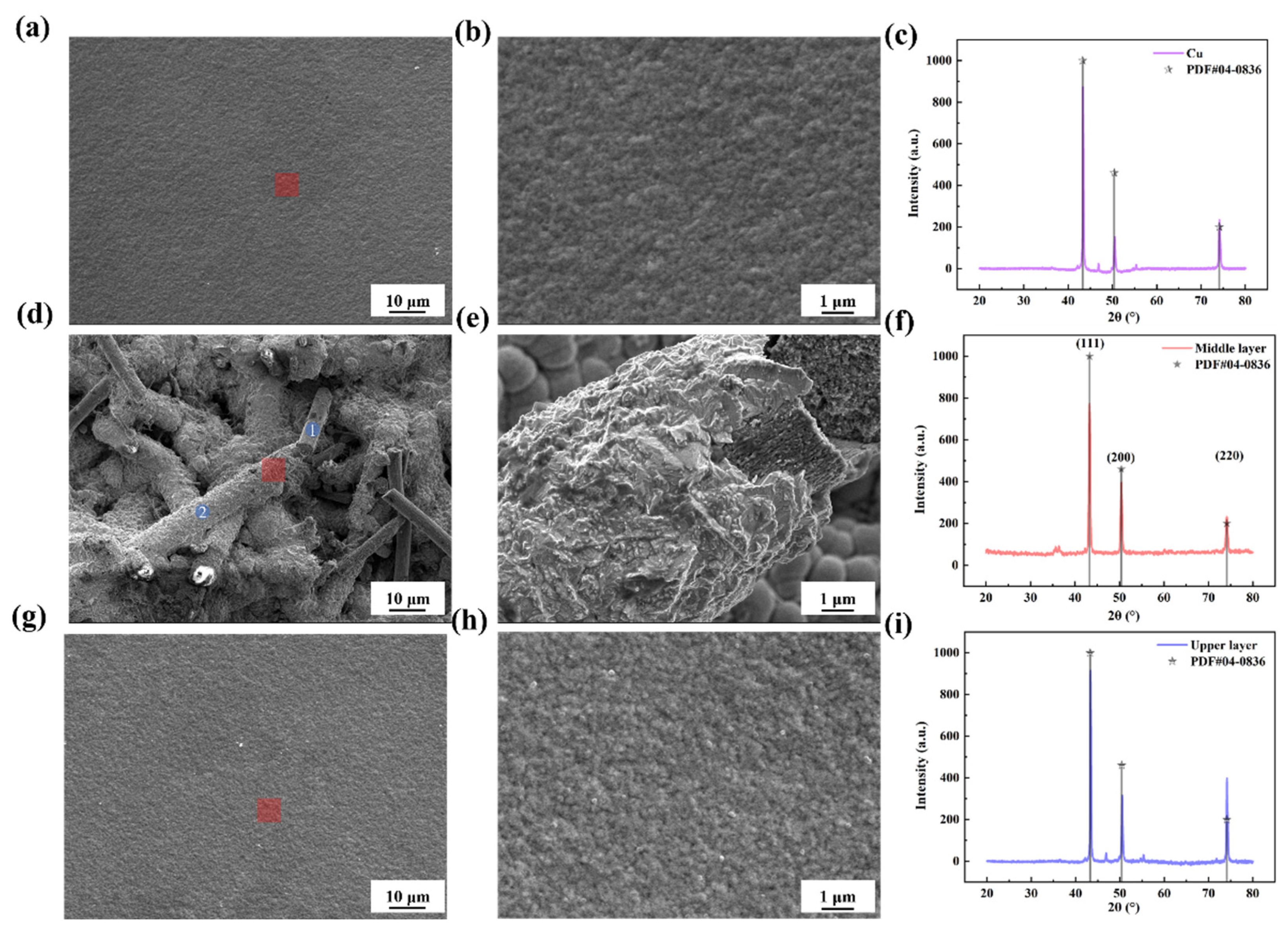 Nanomaterials 15 00718 g004 Nanomaterials 15 00718 g004