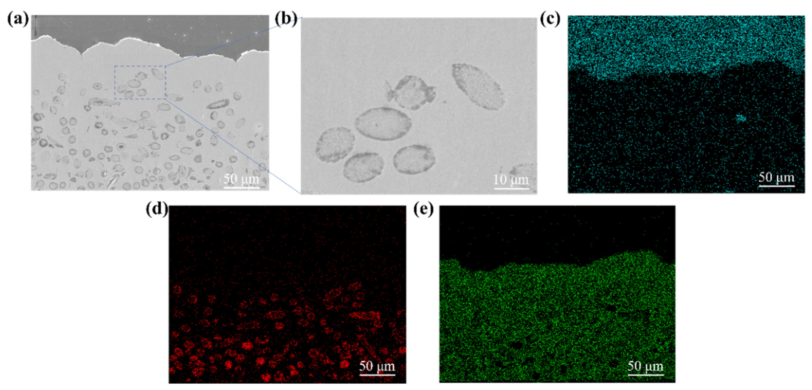Nanomaterials 15 00718 g005 Nanomaterials 15 00718 g005