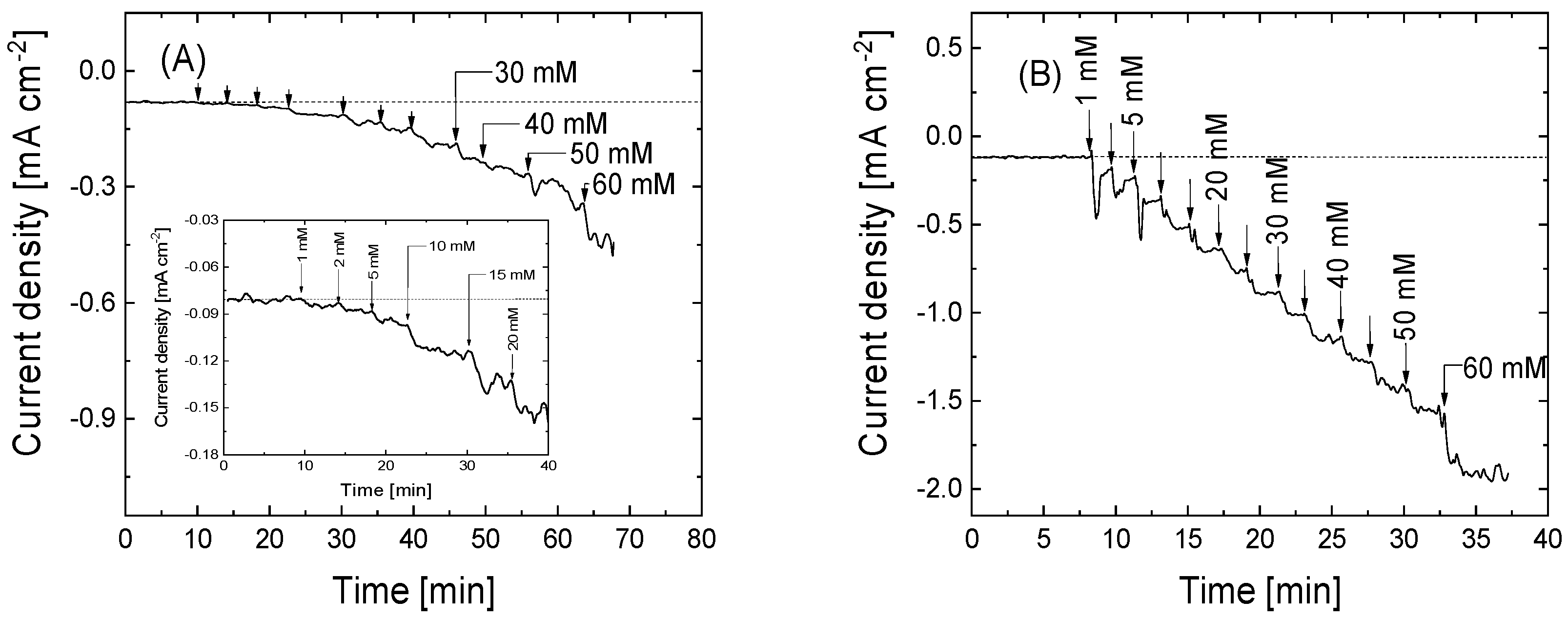 Nanomaterials 15 00722 g006a Nanomaterials 15 00722 g006a