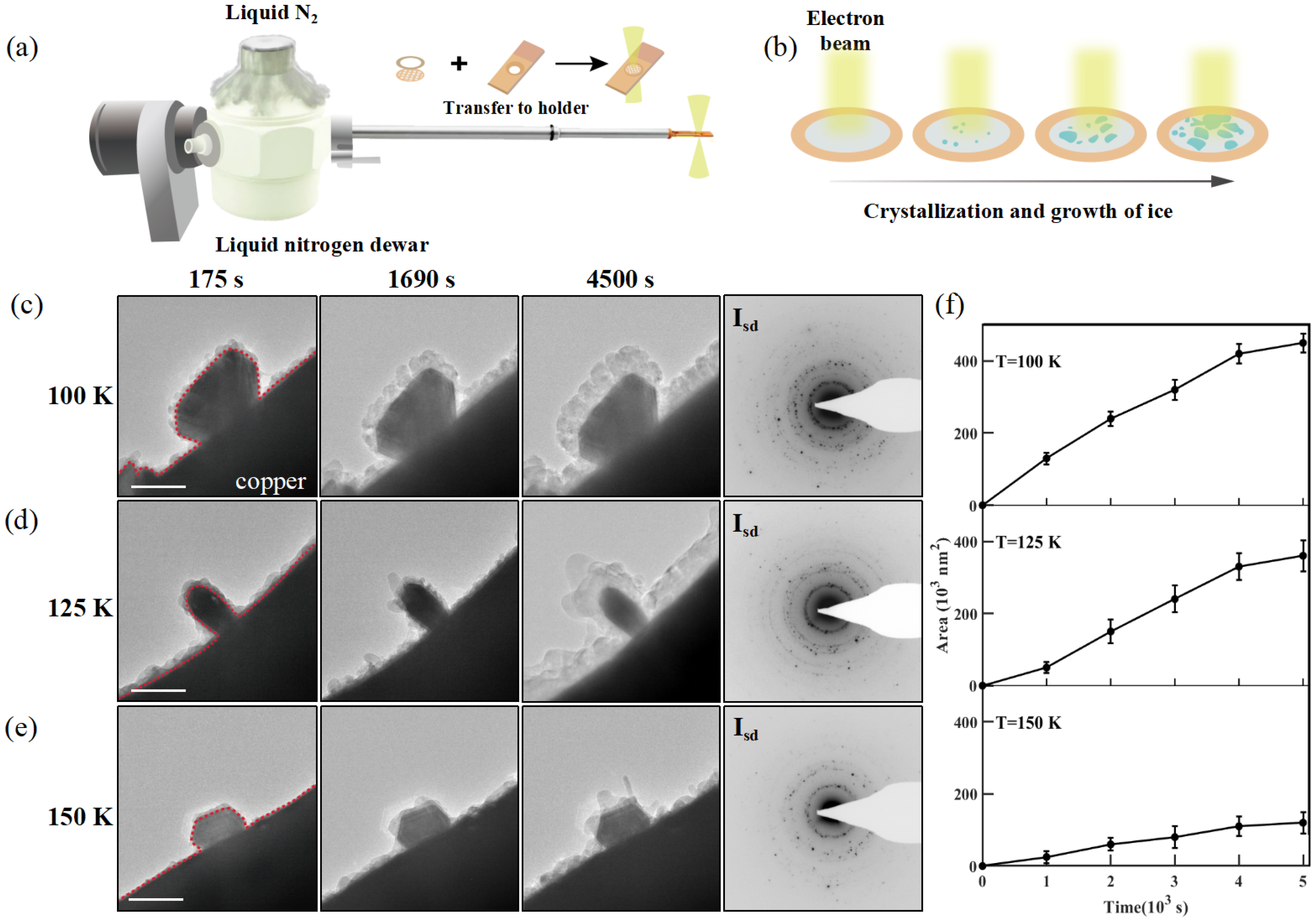 Nanomaterials 15 00726 g001