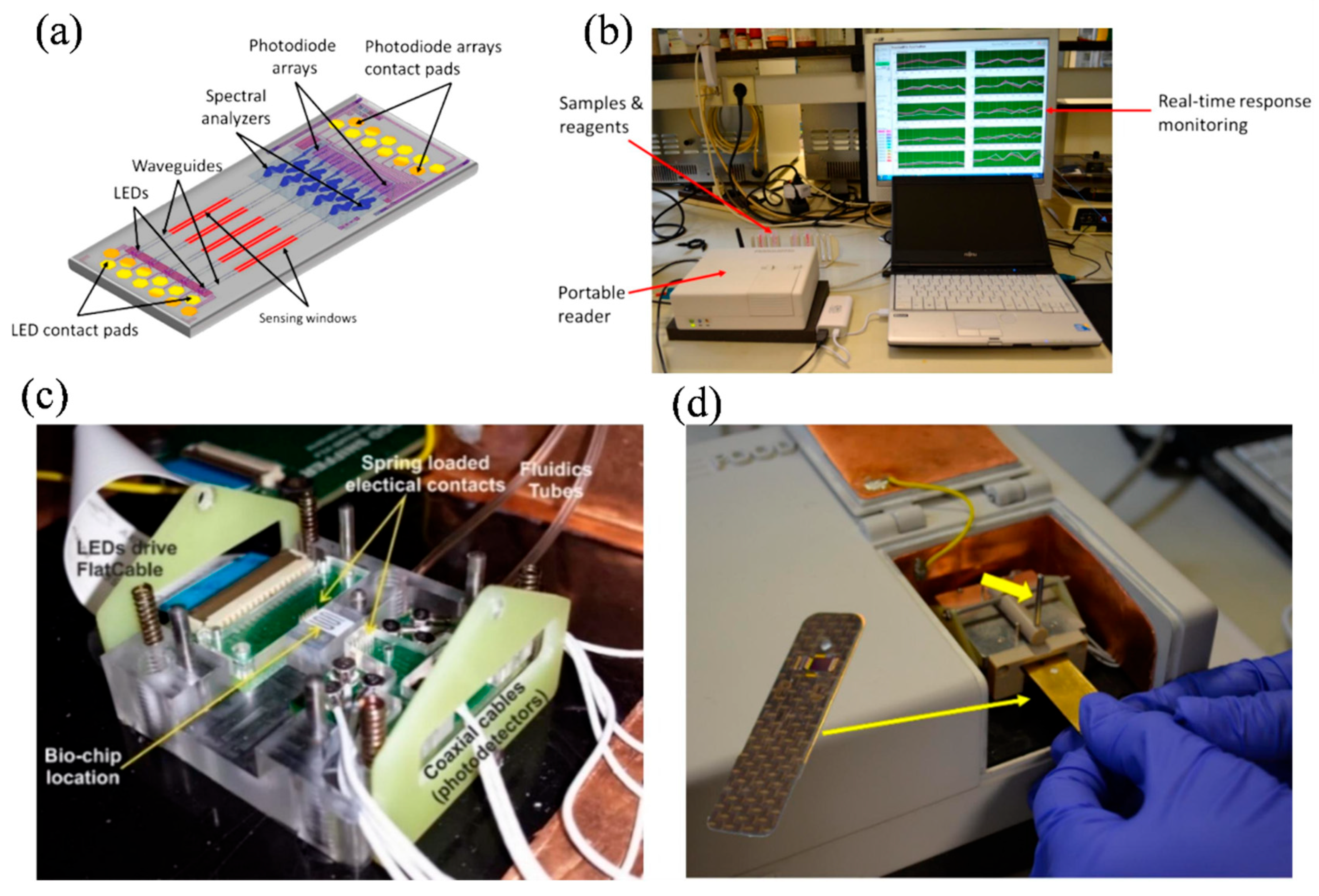 Integrated Photonic Biosensors: Enabling Next-Generation Lab-on-a-Chip ...