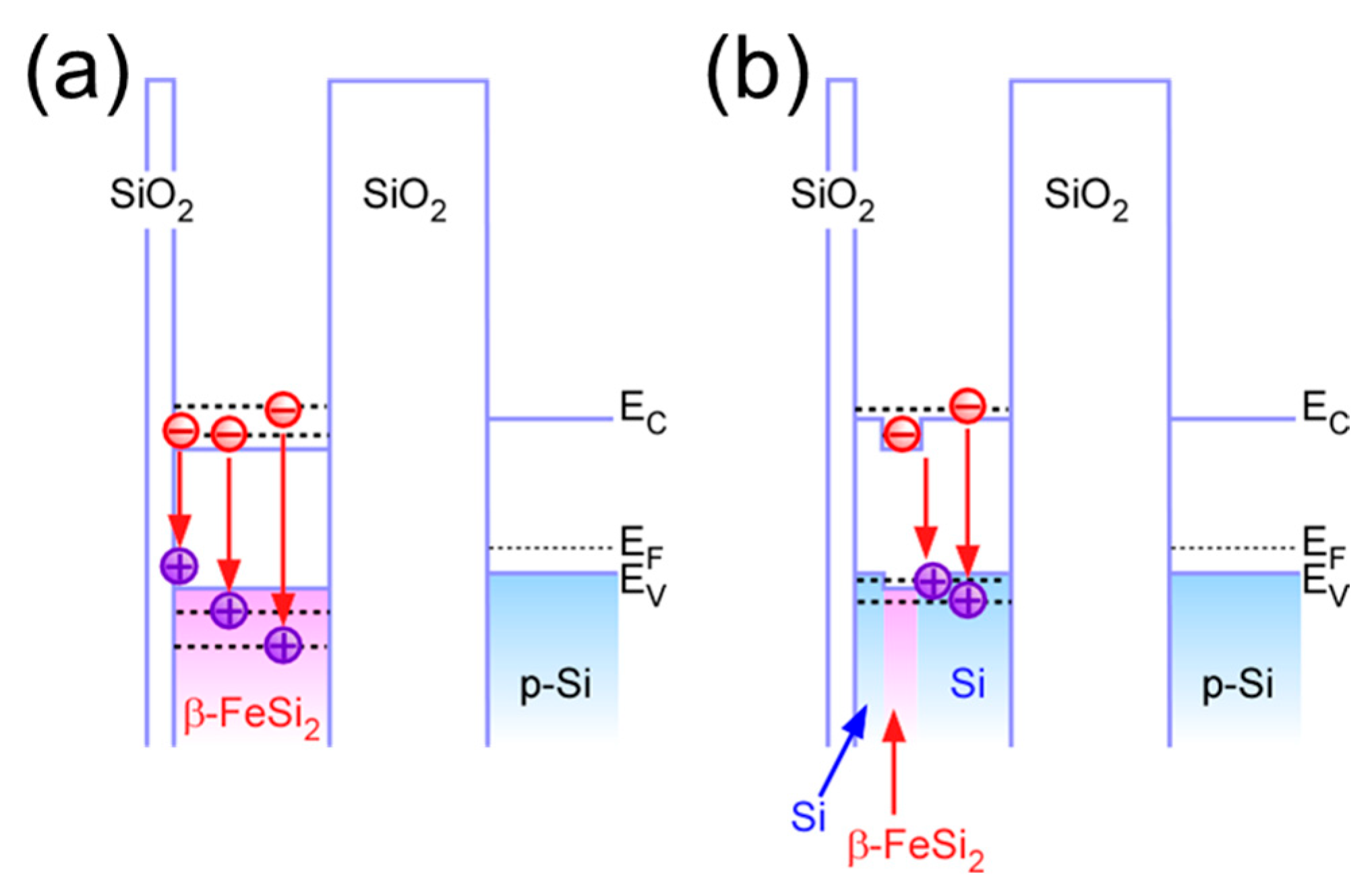 Nanomaterials 15 00733 g005