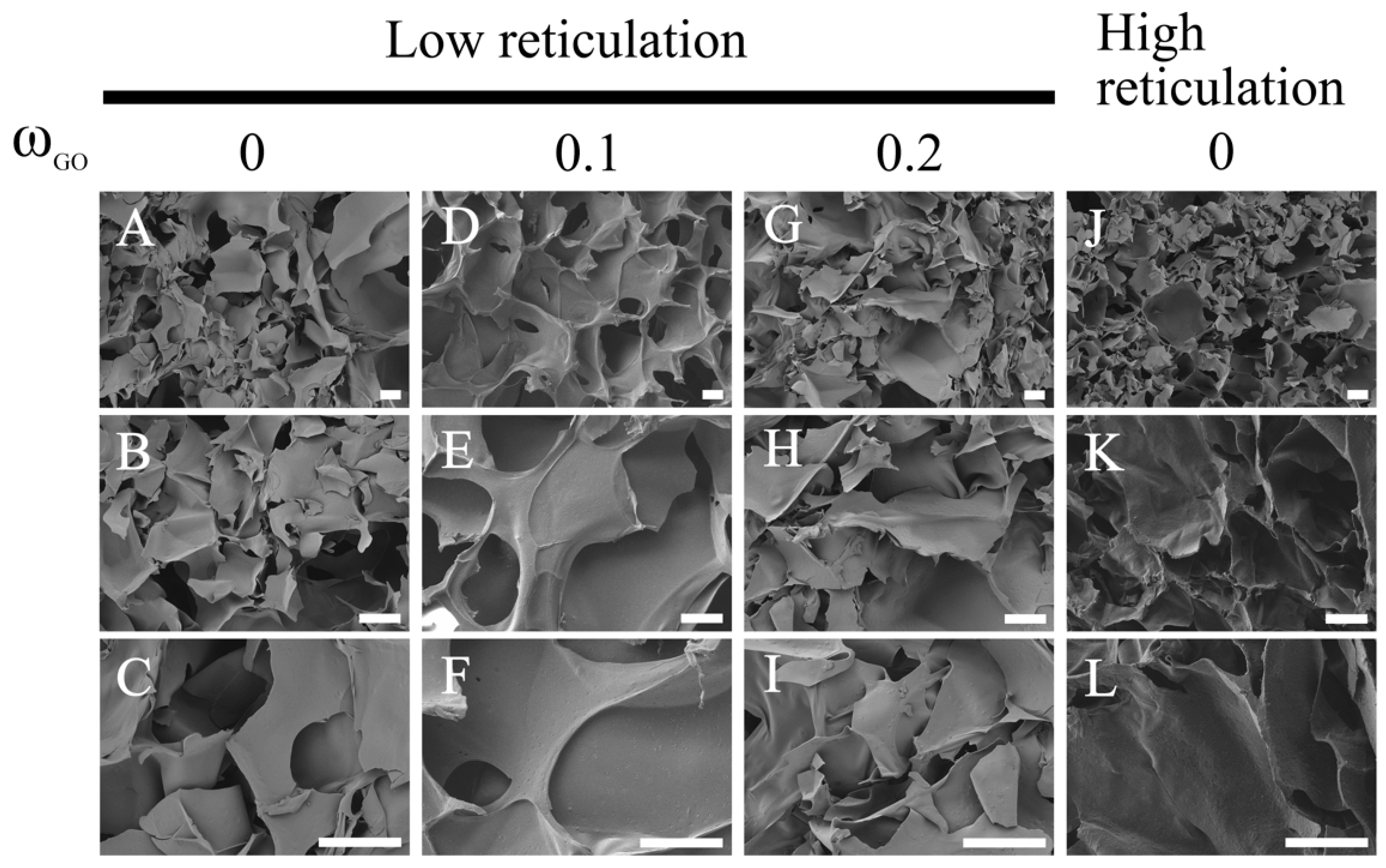 Nanomaterials 15 00735 g002