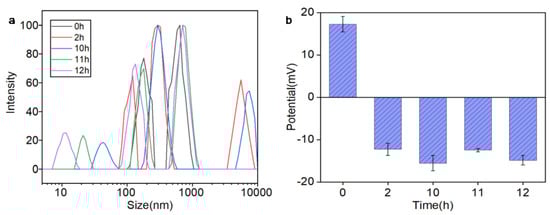 Nanomaterials 15 00748 g004