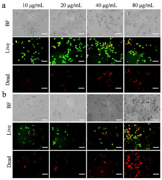 Nanomaterials 15 00748 g006