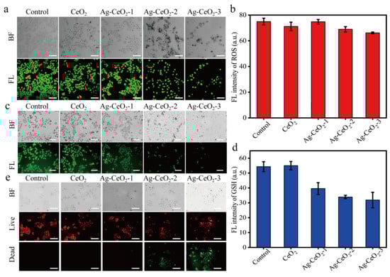 Nanomaterials 15 00748 g007