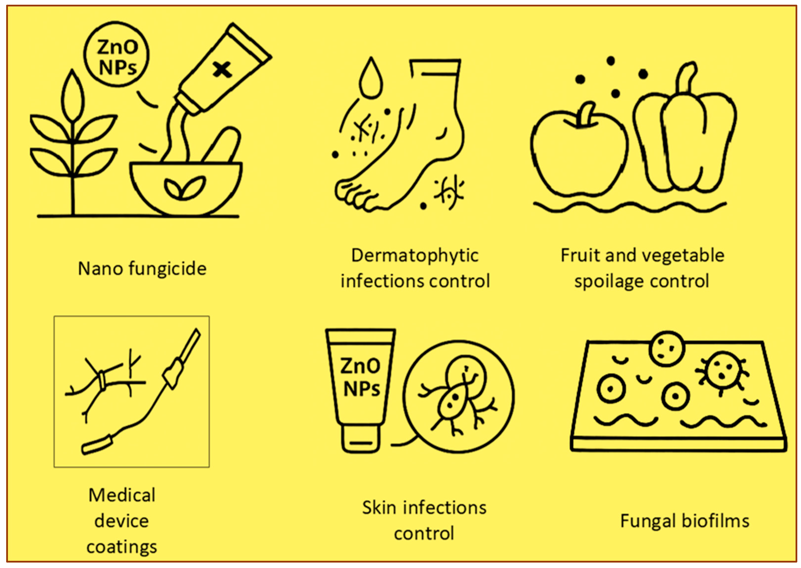 Nanomaterials 15 00754 g002