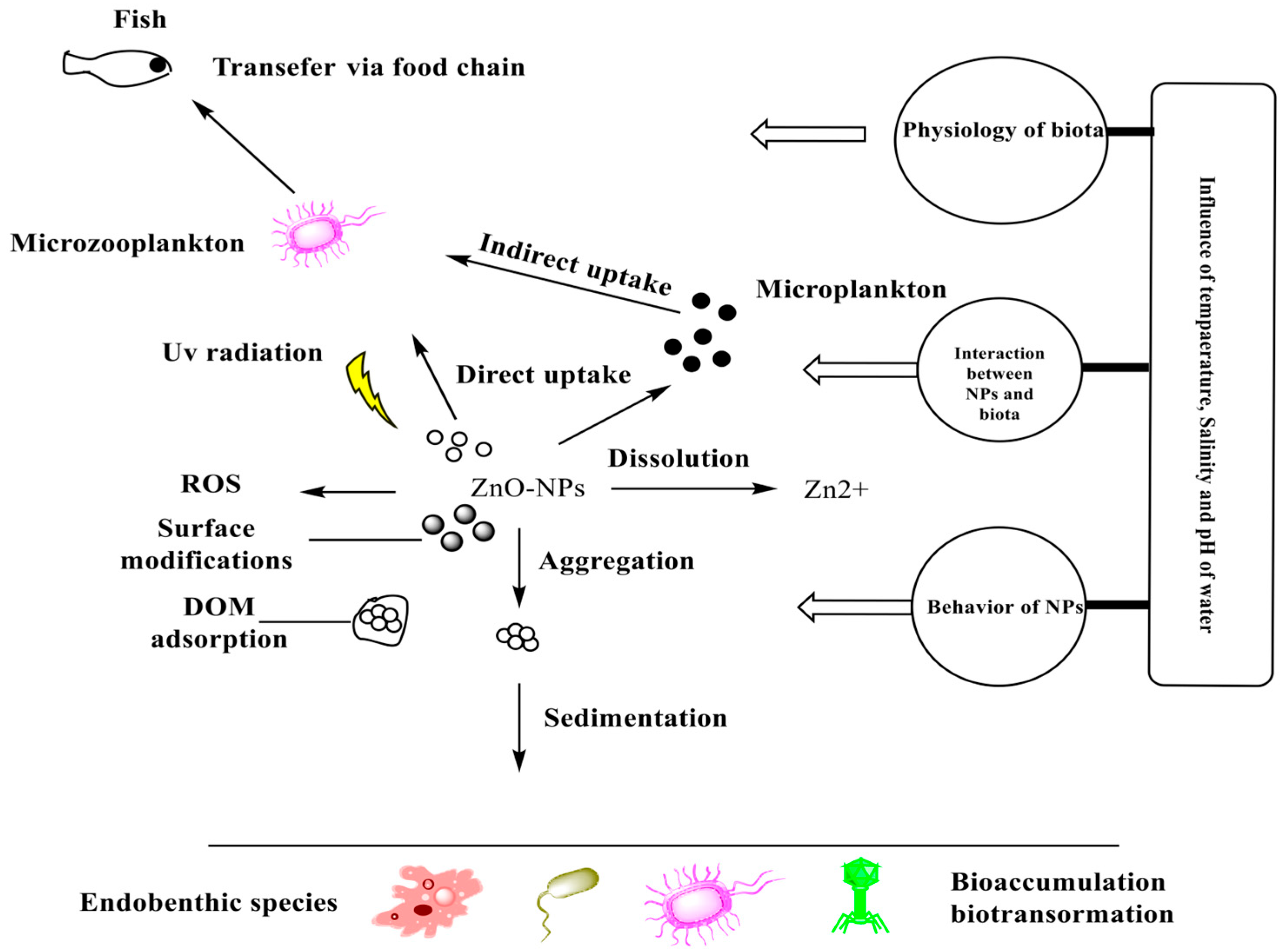Nanomaterials 15 00754 g010