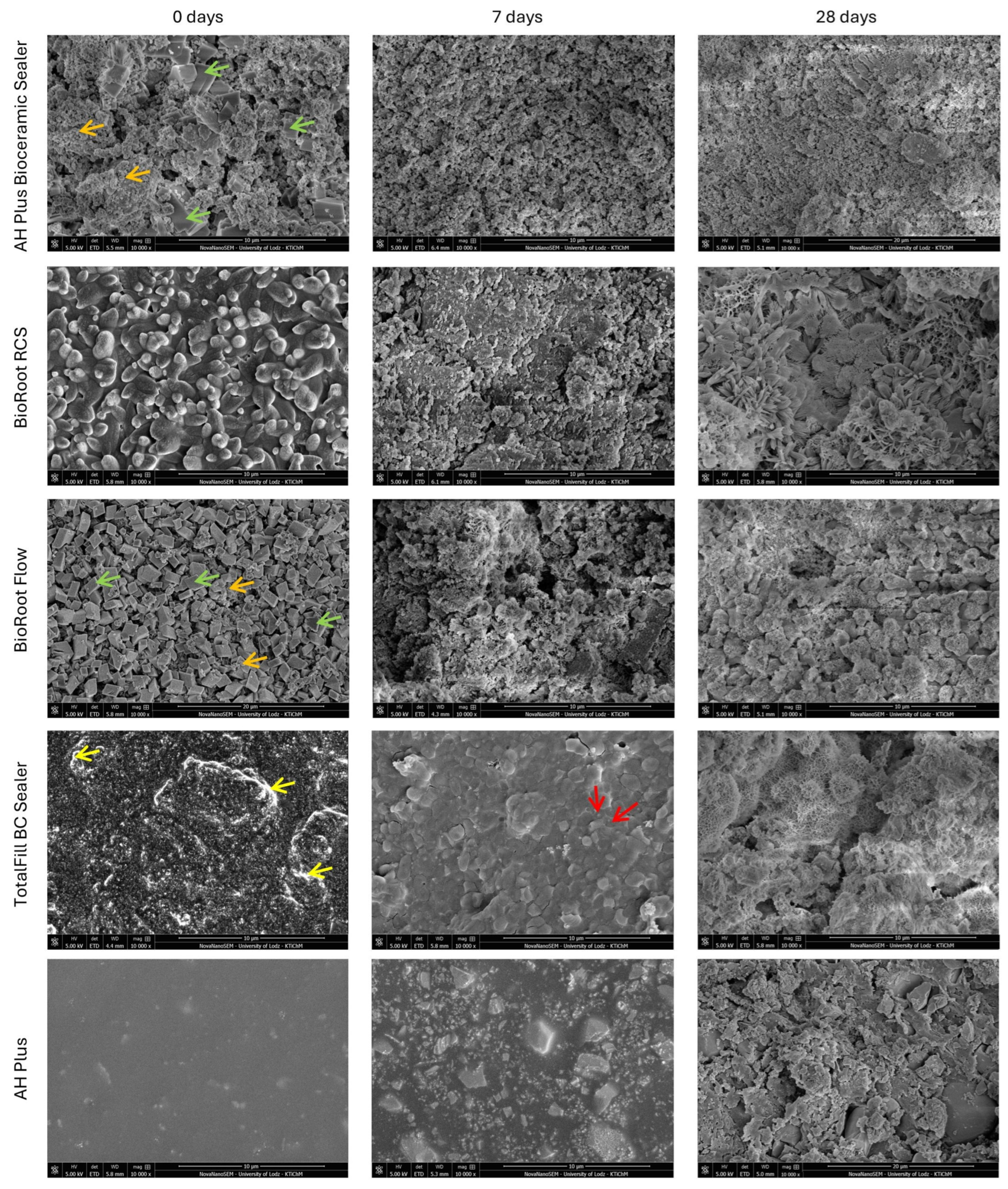 Nanomaterials 15 00756 g002