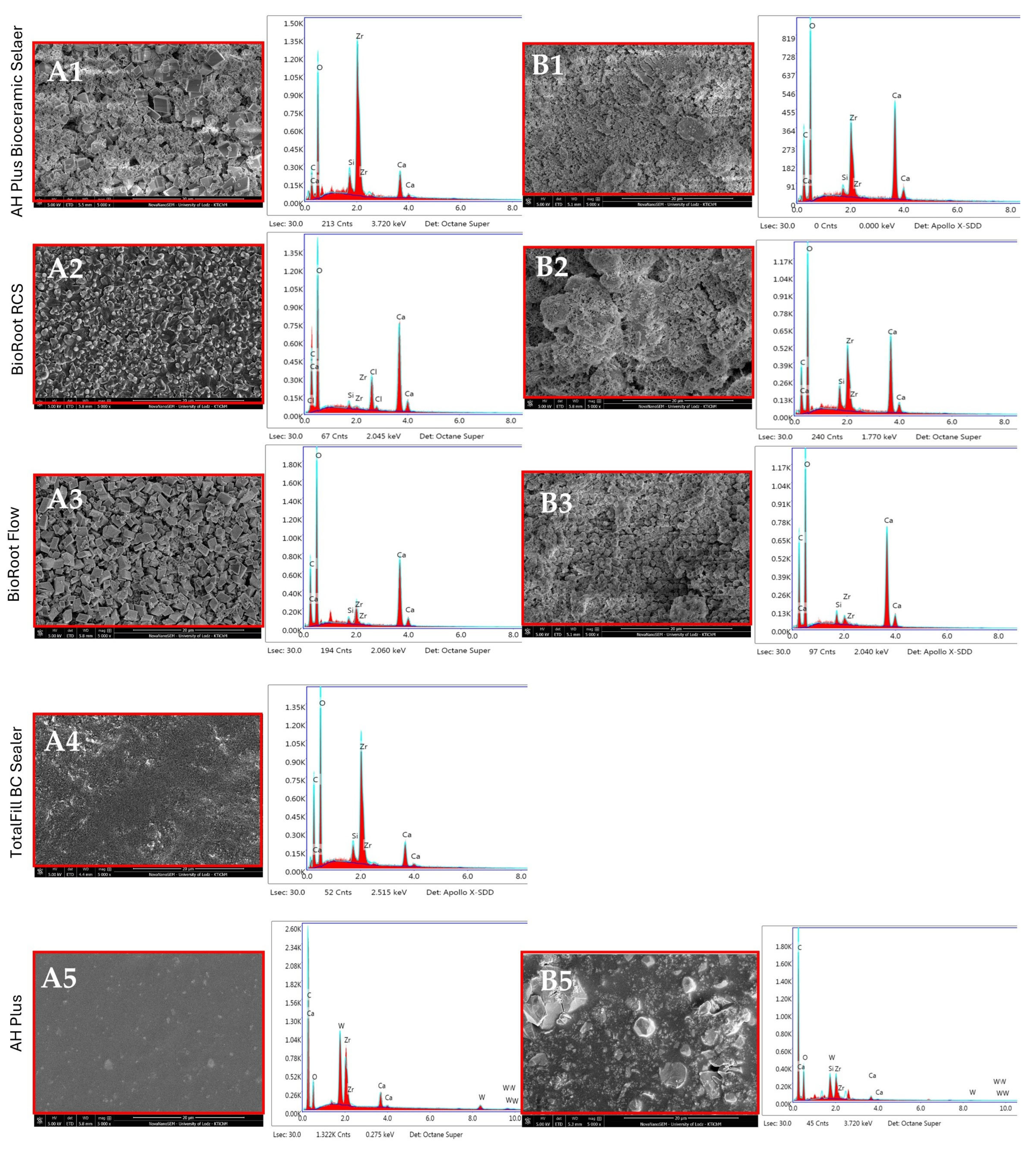 Nanomaterials 15 00756 g003