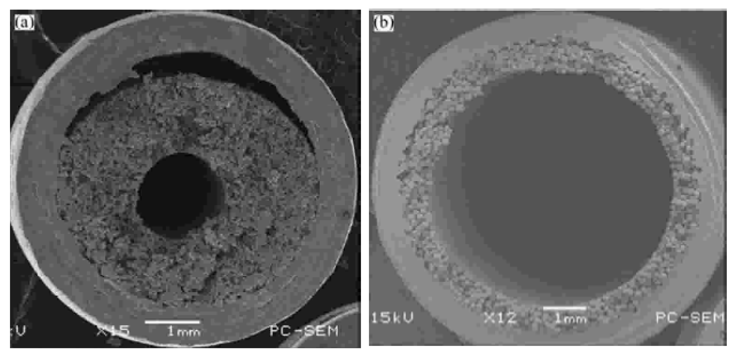 Nanomaterials 15 00757 g010