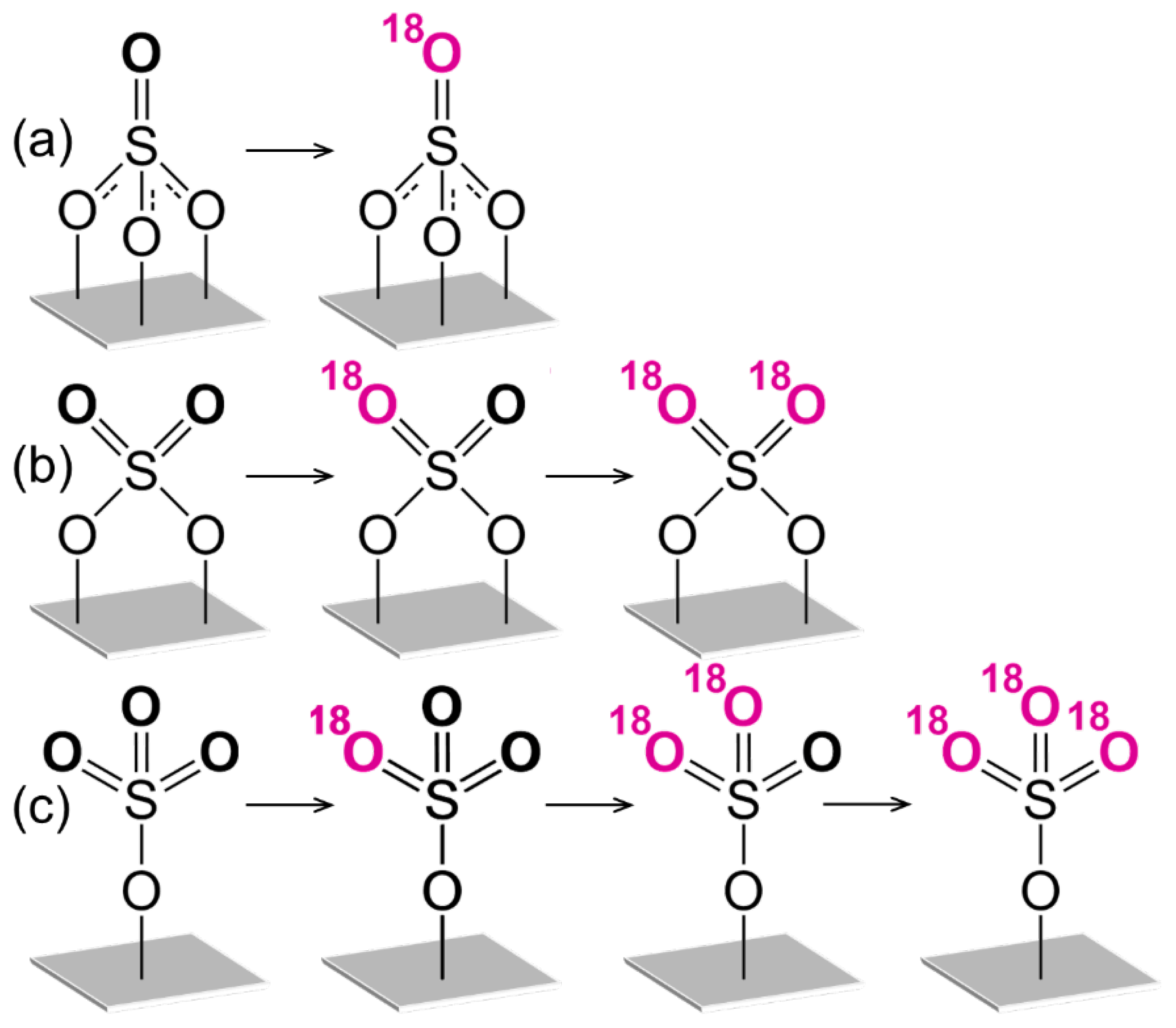 Nanomaterials 15 00779 g010 Nanomaterials 15 00779 g010