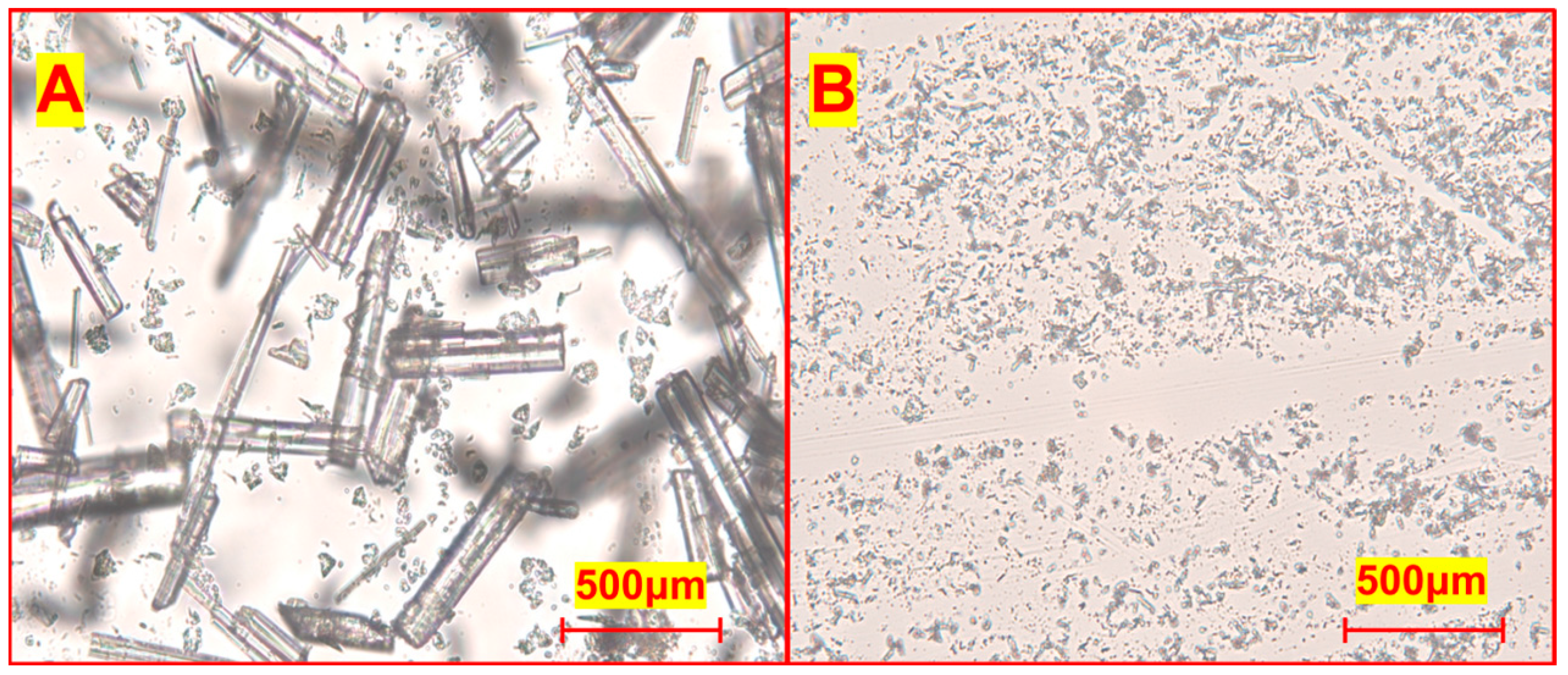 Nanomaterials 15 00791 g004 Nanomaterials 15 00791 g004