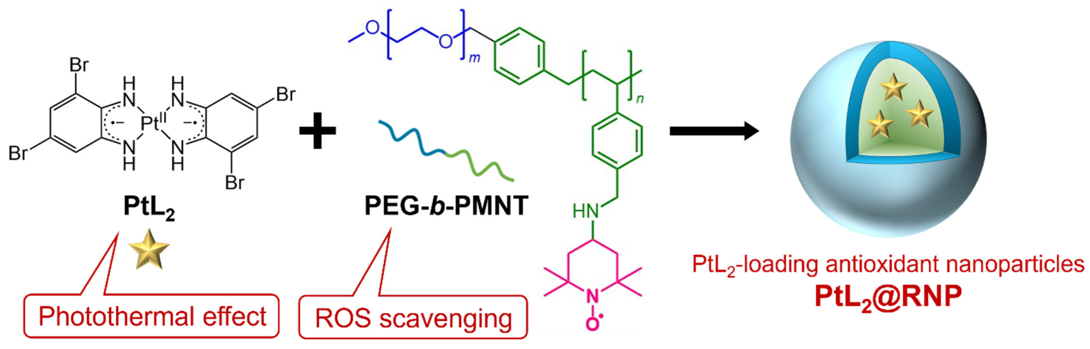 Nanomaterials 15 00796 g001