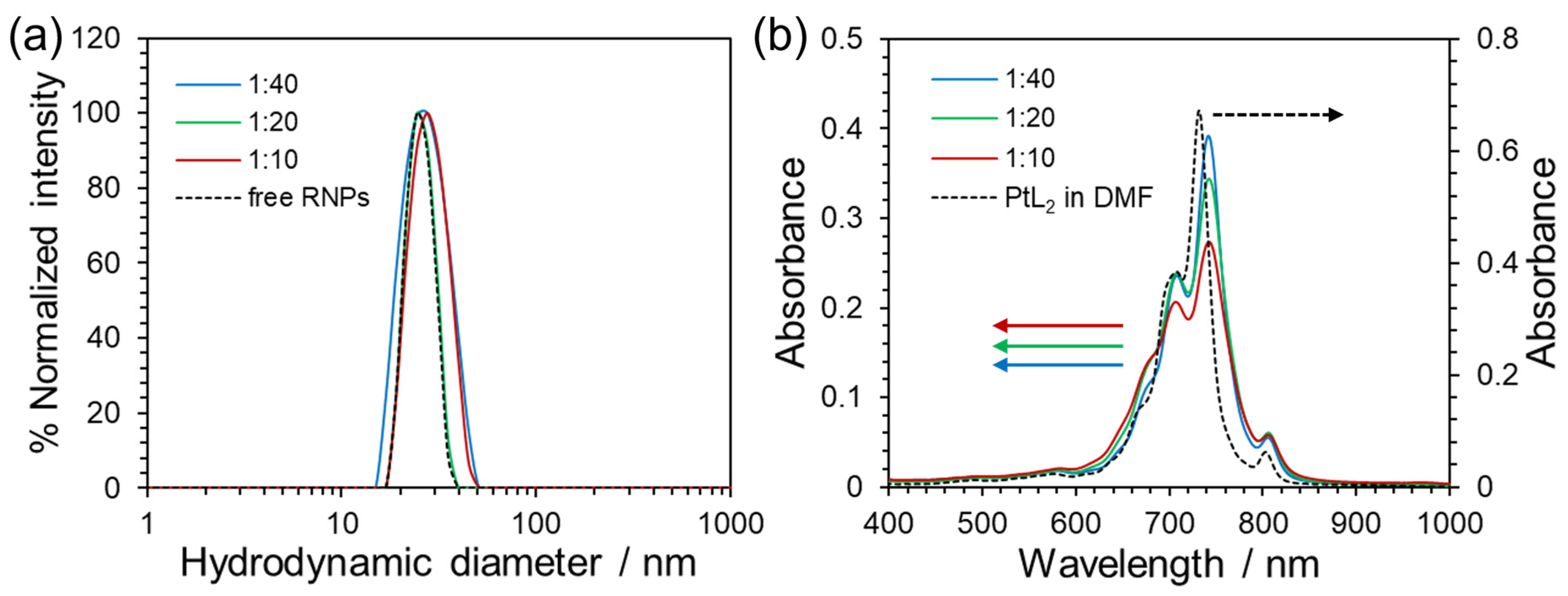 Nanomaterials 15 00796 g002