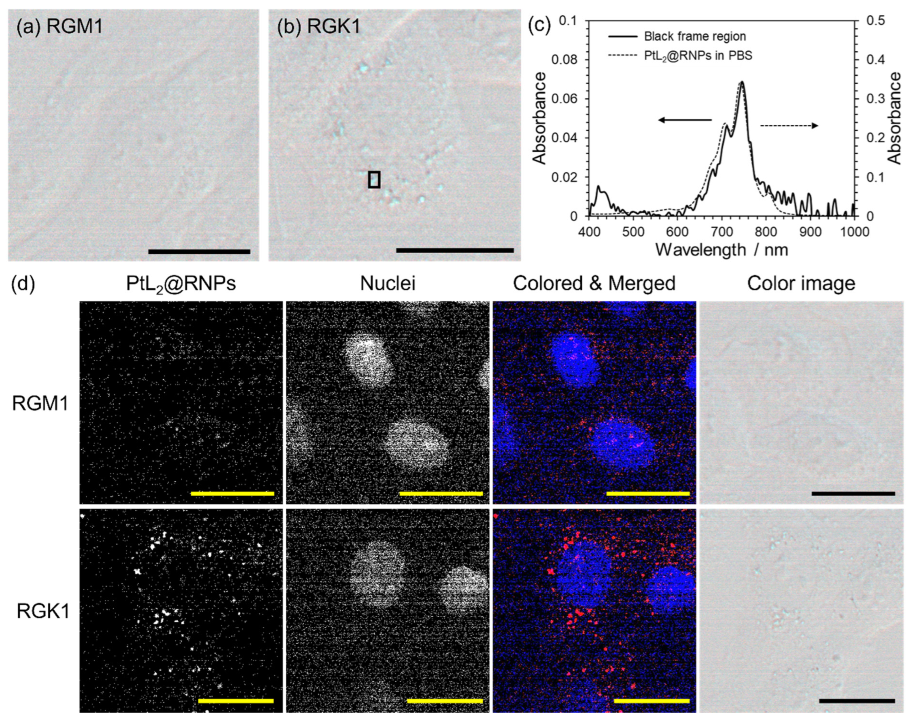 Nanomaterials 15 00796 g005