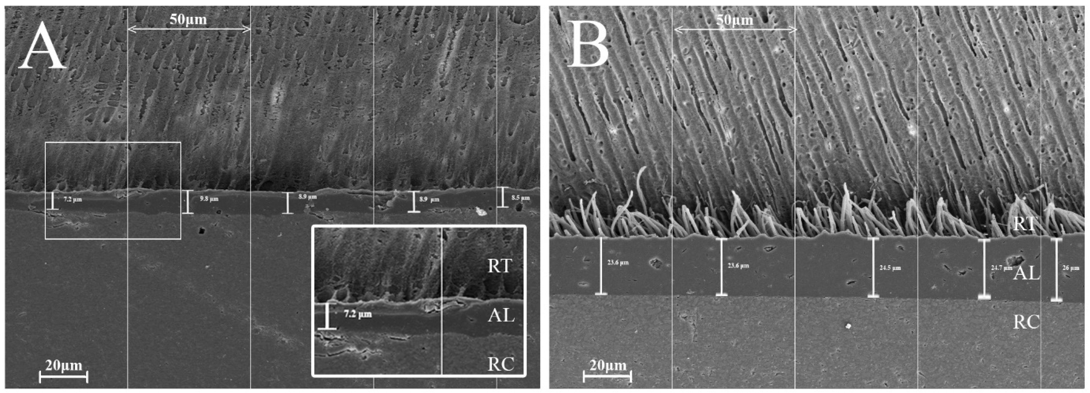 Nanomaterials 15 00803 g004