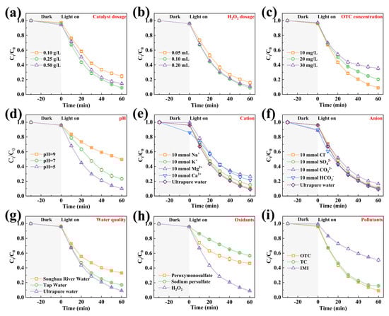 Nanomaterials 15 00833 g004