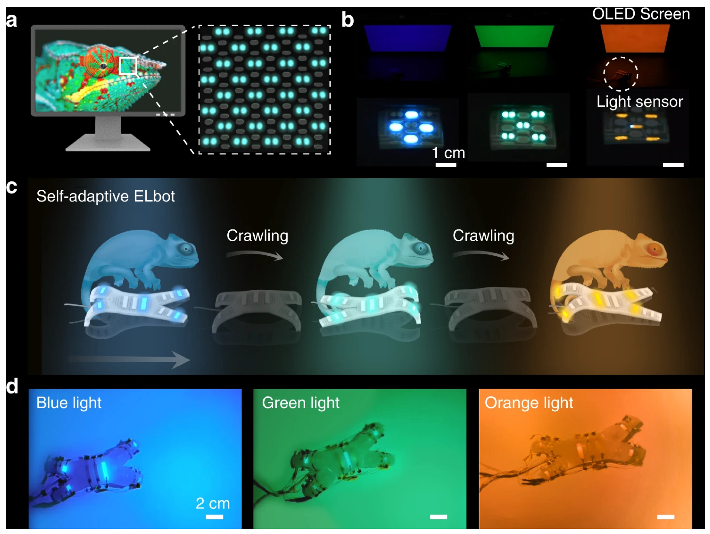 Nanomaterials 15 00843 g015