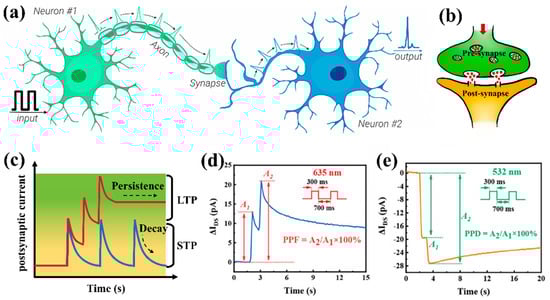 Nanomaterials 15 00863 g002