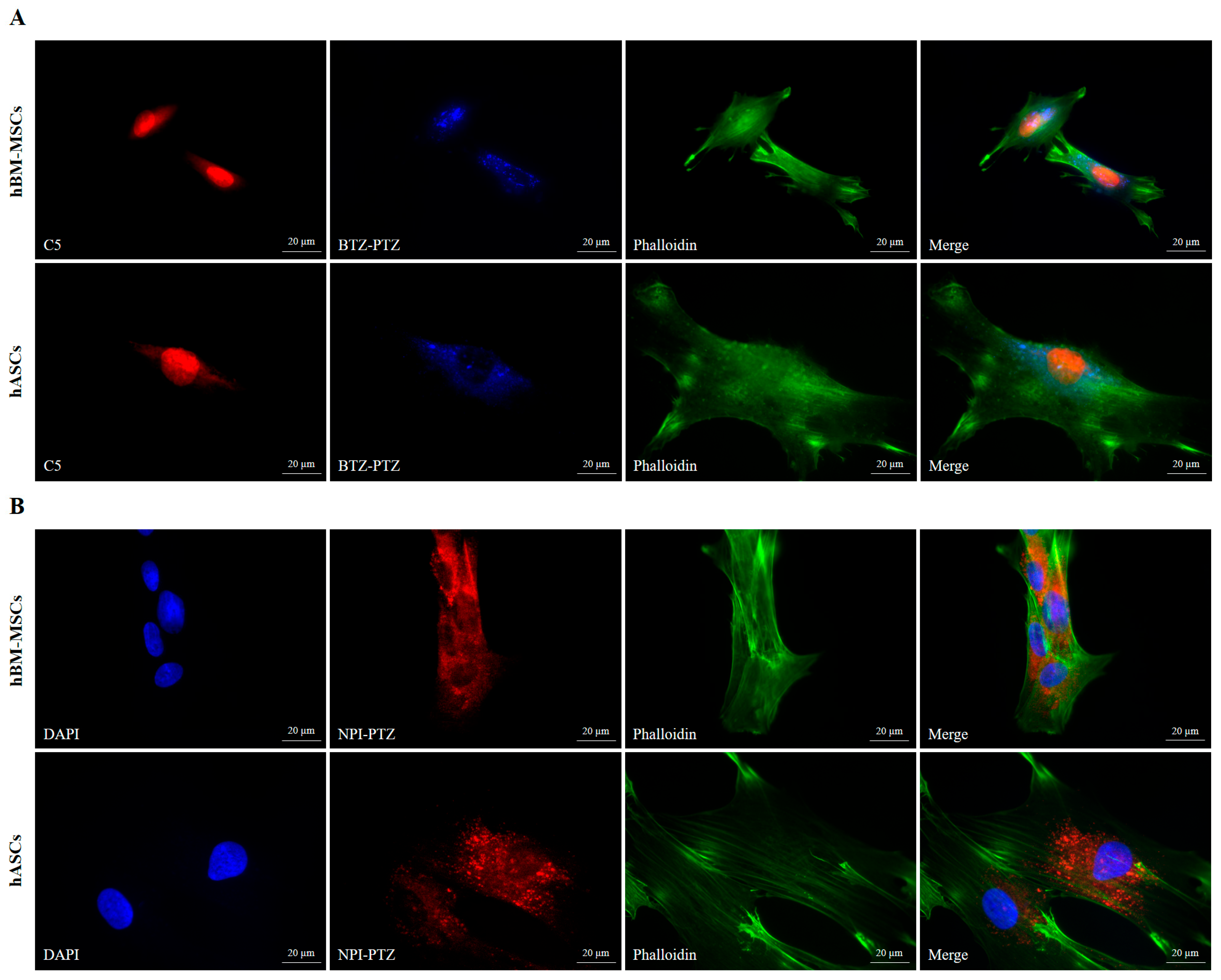 Nanomaterials 15 00894 g003