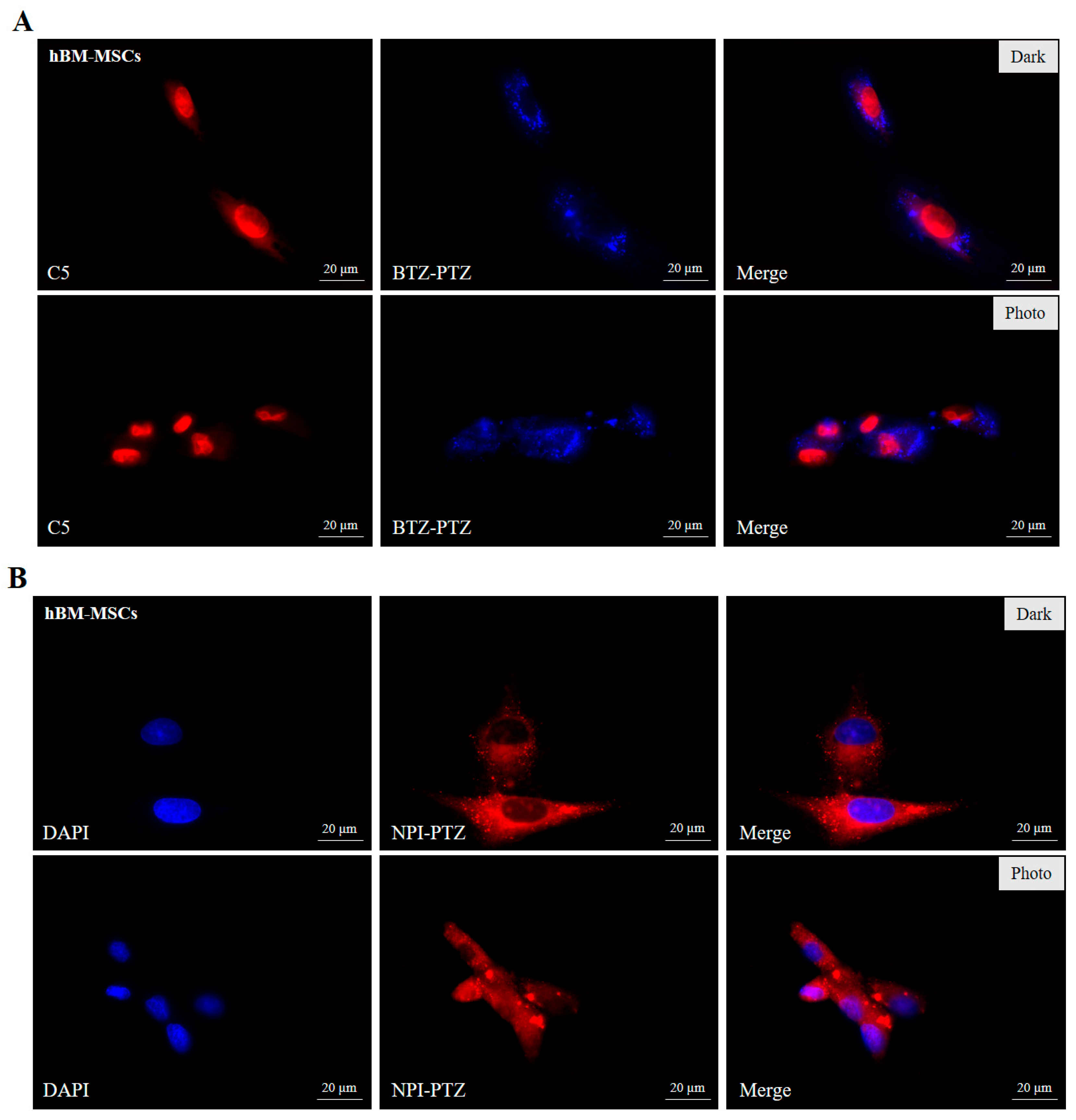 Nanomaterials 15 00894 g005