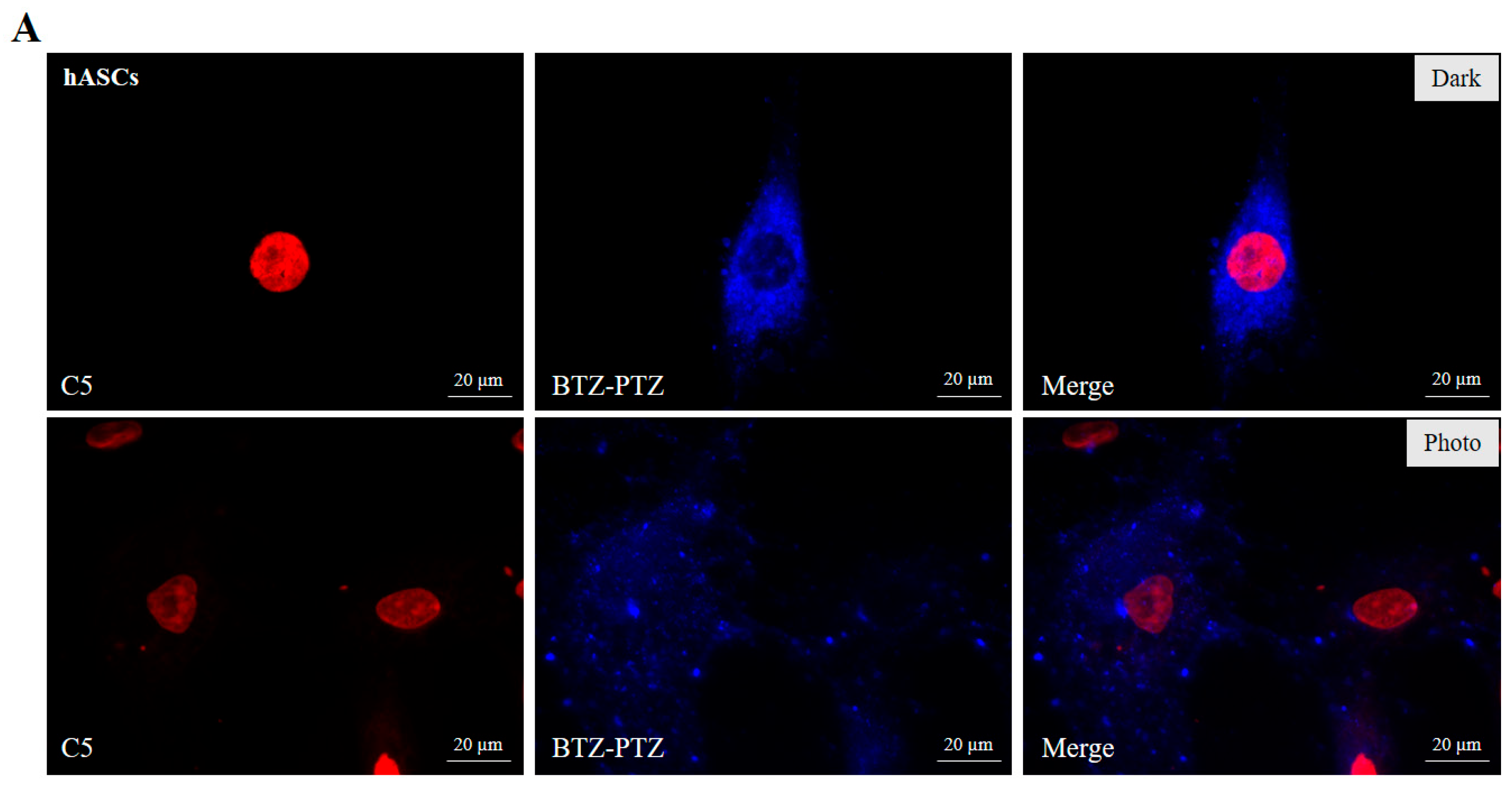 Nanomaterials 15 00894 g006a