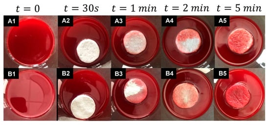 Nanomaterials 15 00901 g006