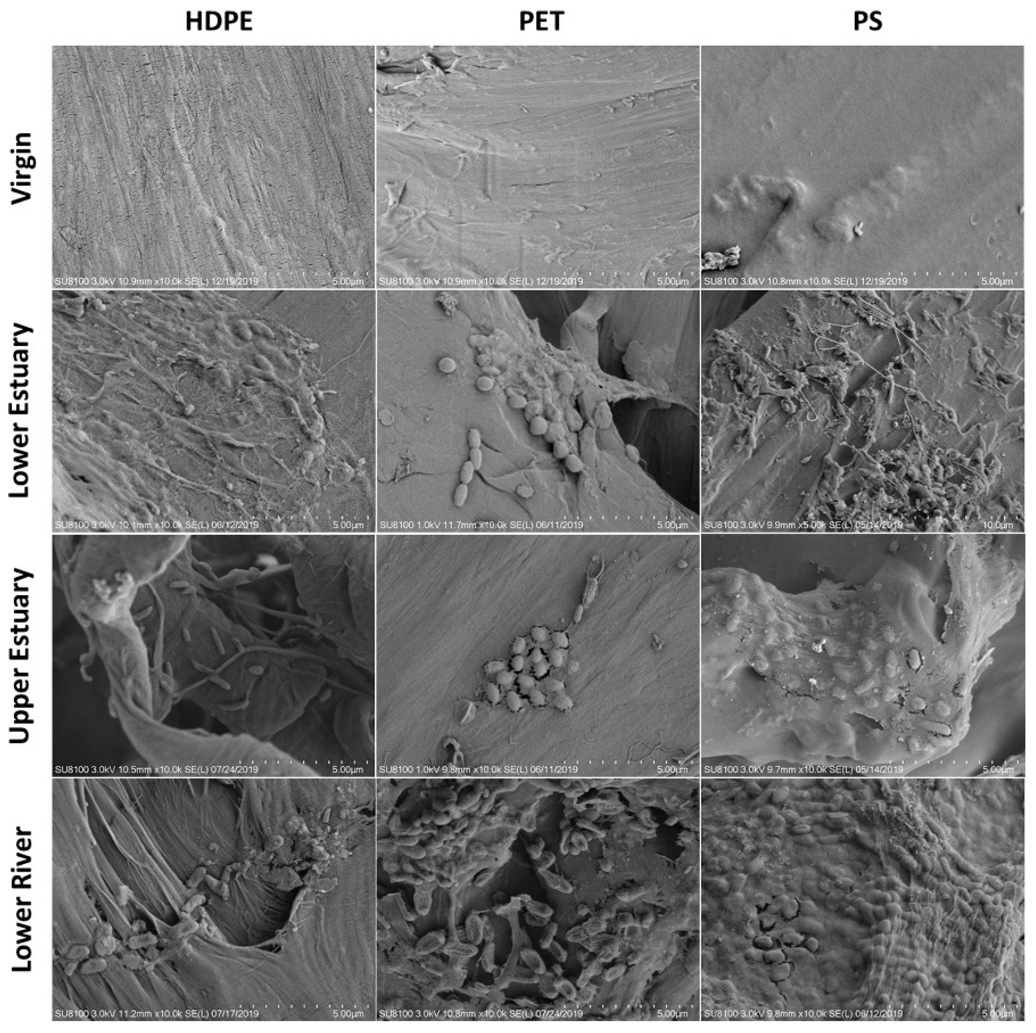 Nanomaterials 15 00902 g004