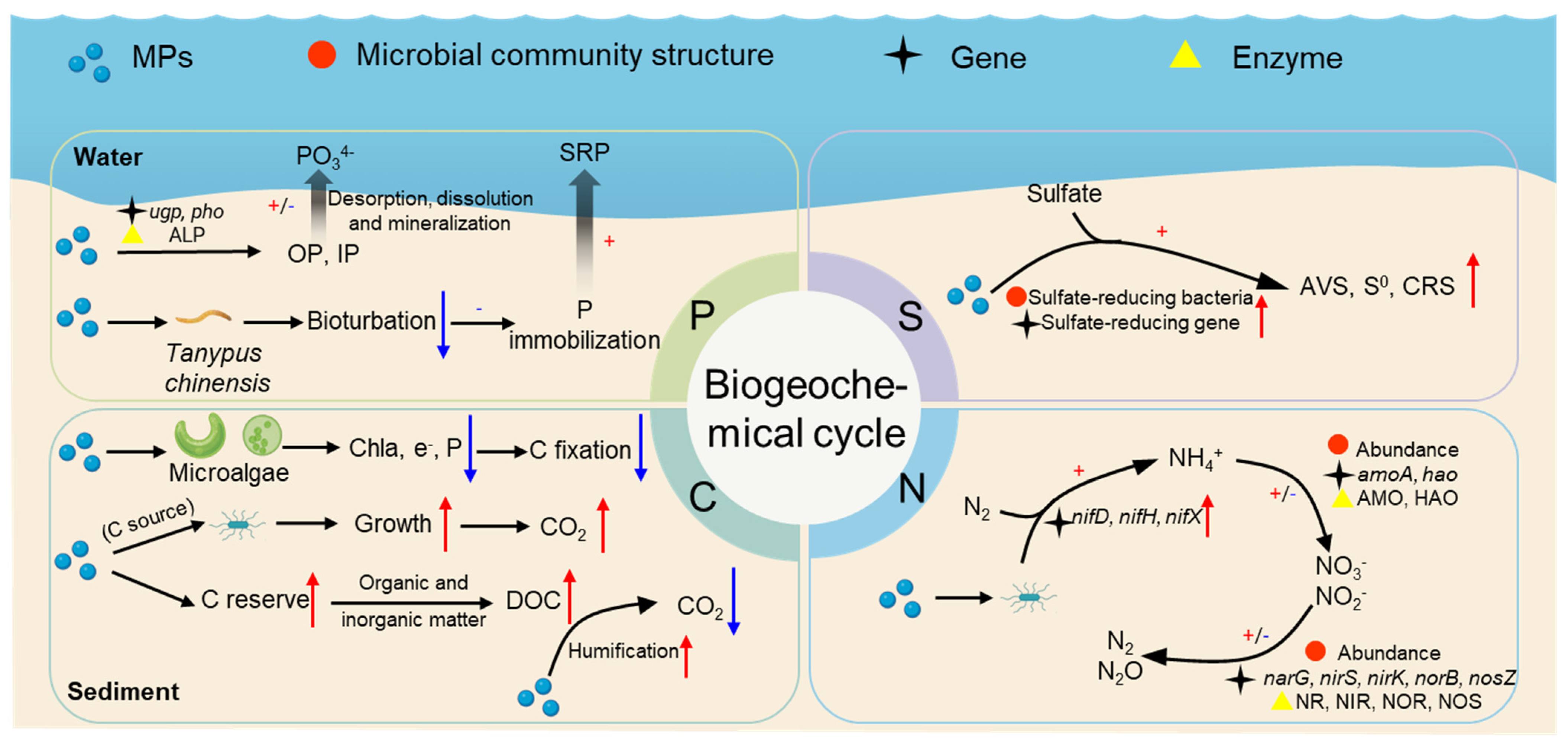 Nanomaterials 15 00902 g005