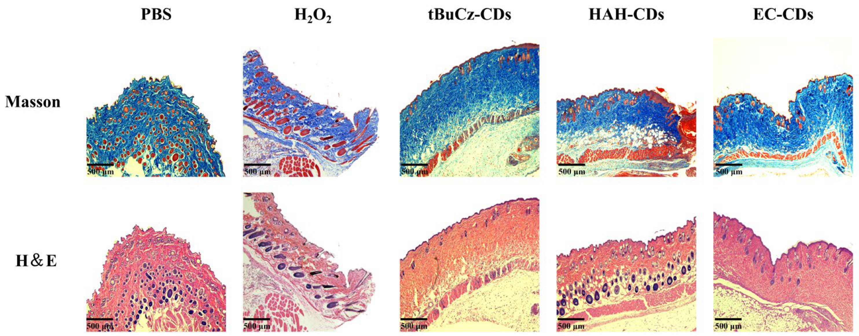 Nanomaterials 15 00910 g006