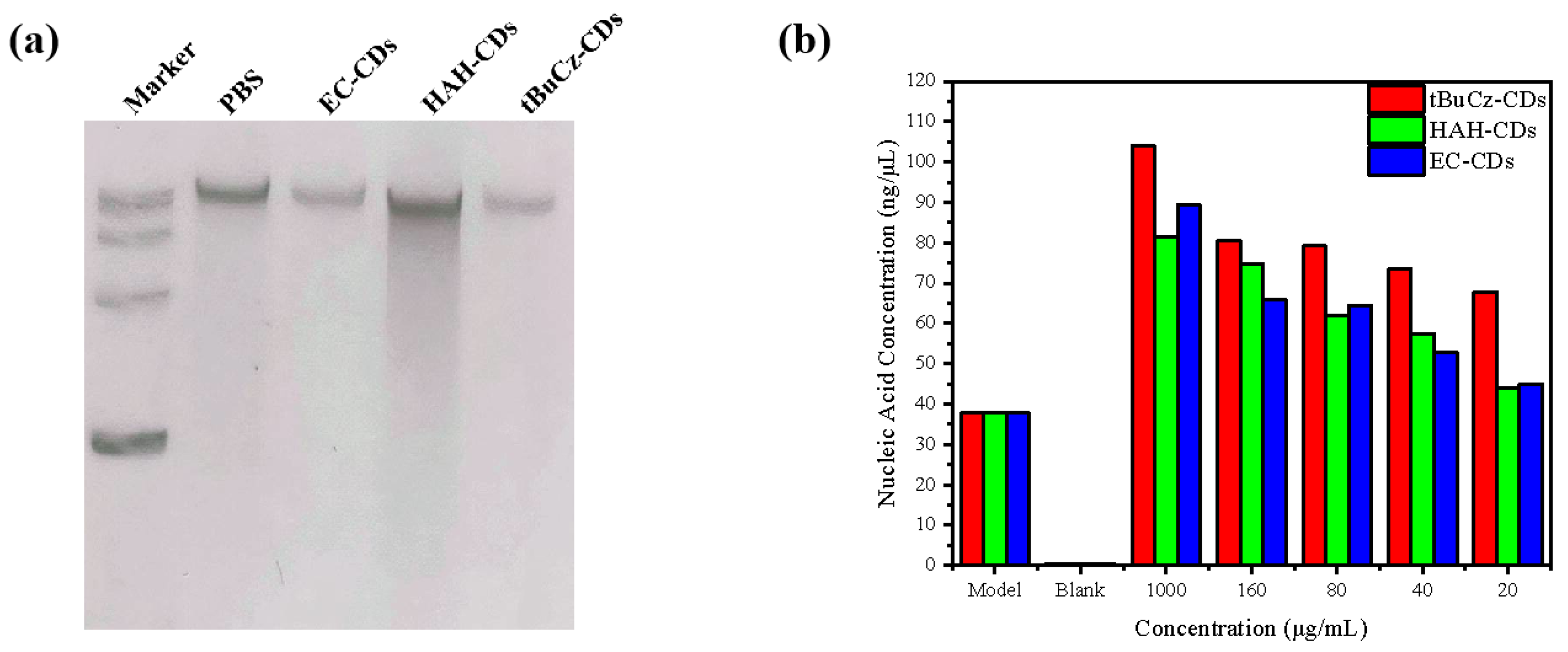 Nanomaterials 15 00910 g010
