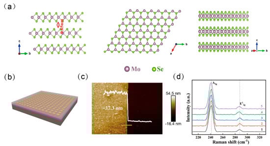 Nanomaterials 15 00913 g001