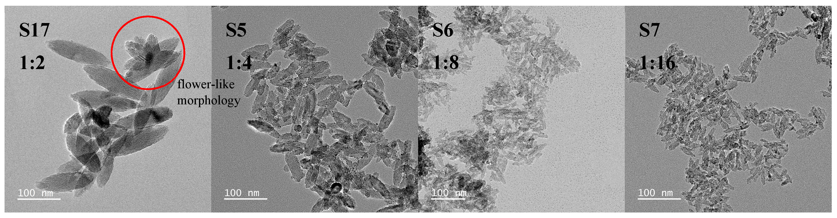Nanomaterials 15 00930 g003 Nanomaterials 15 00930 g003