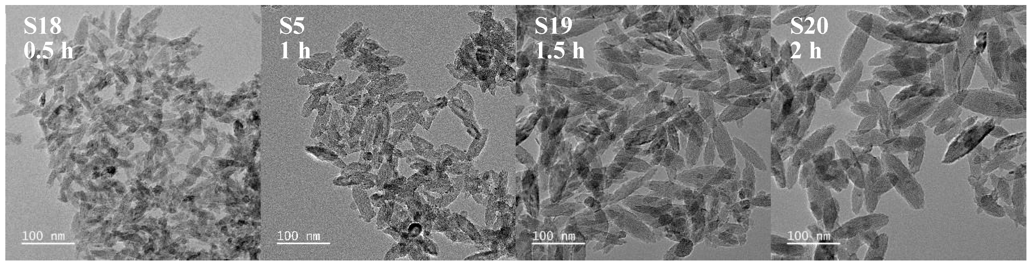 Nanomaterials 15 00930 g005 Nanomaterials 15 00930 g005