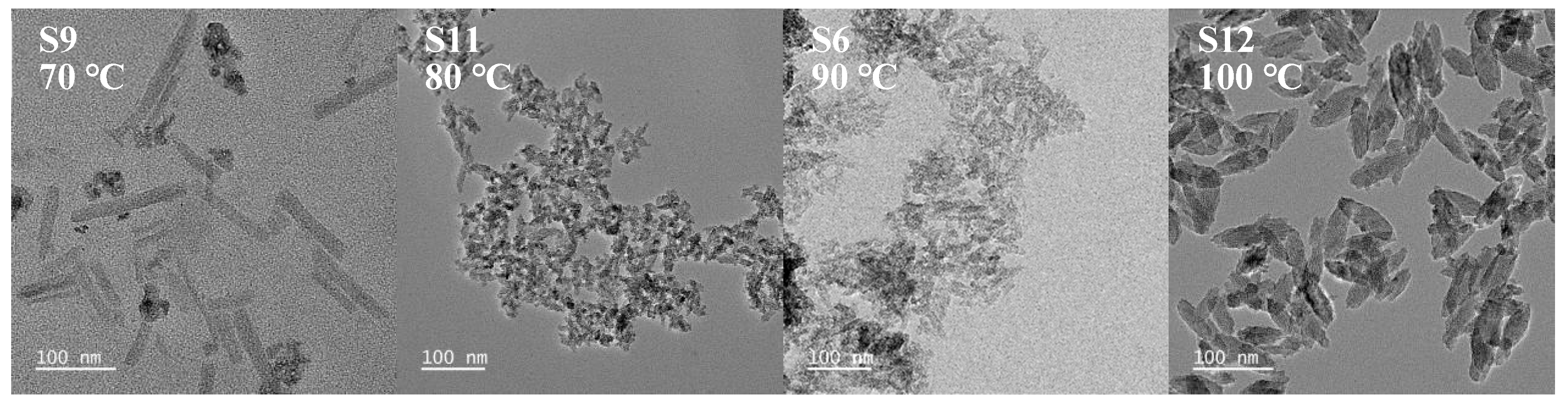 Nanomaterials 15 00930 g007 Nanomaterials 15 00930 g007
