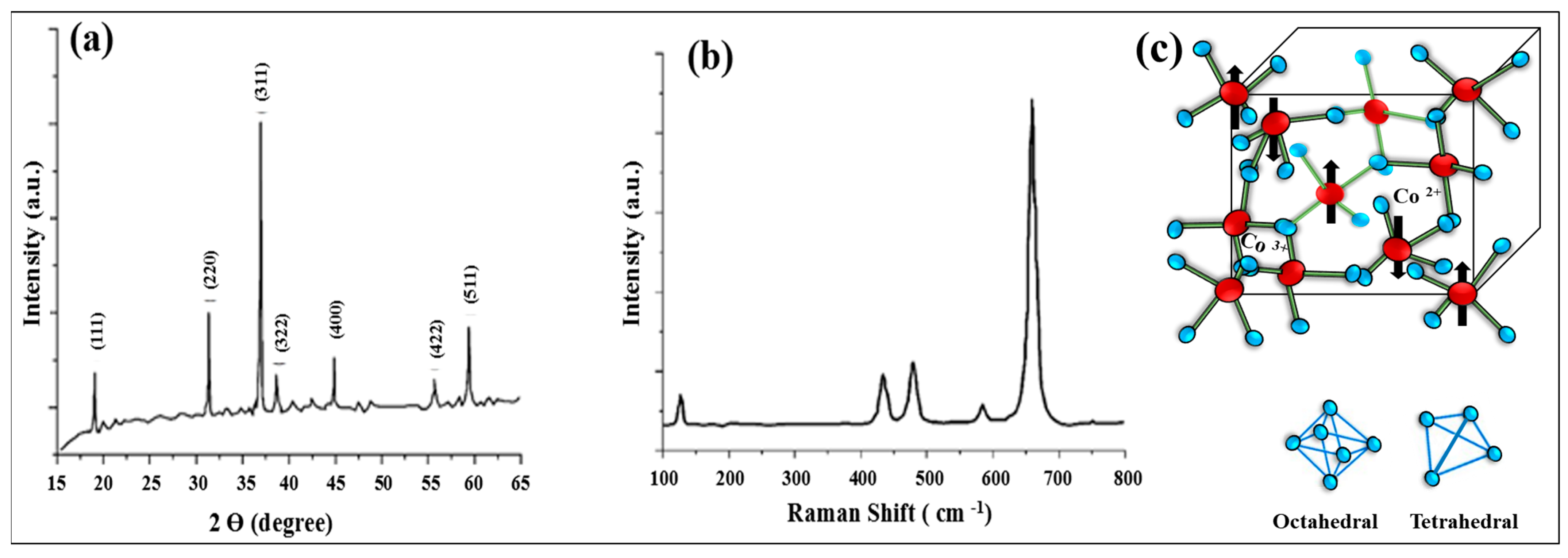 Nanomaterials 15 00932 g008