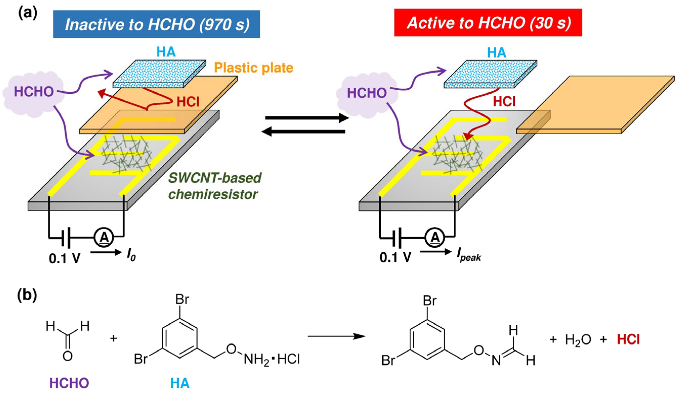 Nanomaterials 15 00962 g001