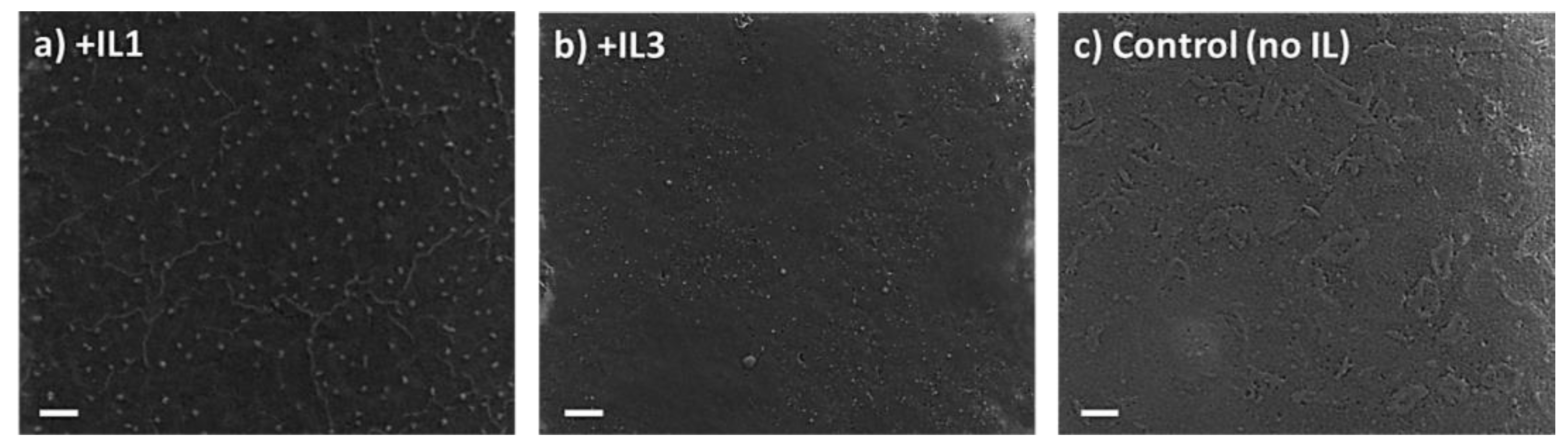 Nanomaterials 15 00964 g004