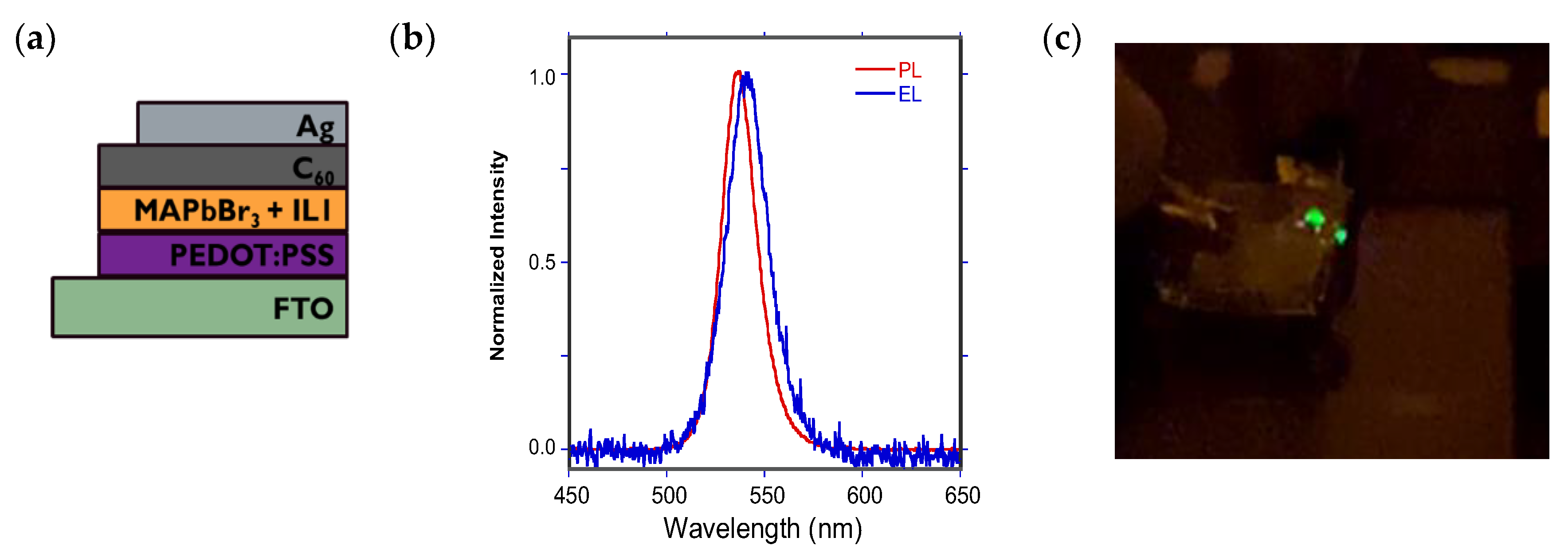Nanomaterials 15 00964 g007