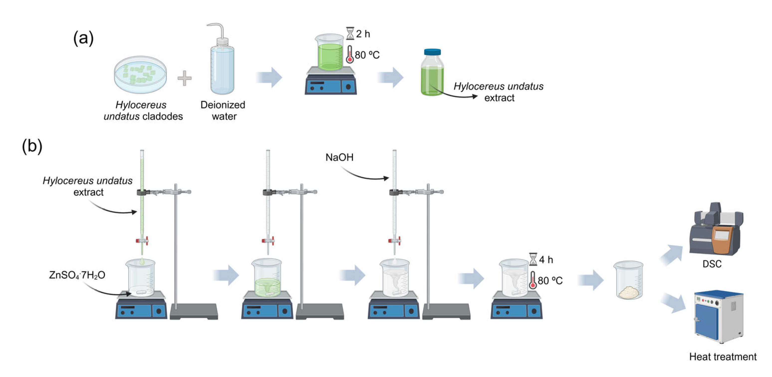 Nanomaterials 15 00991 g001