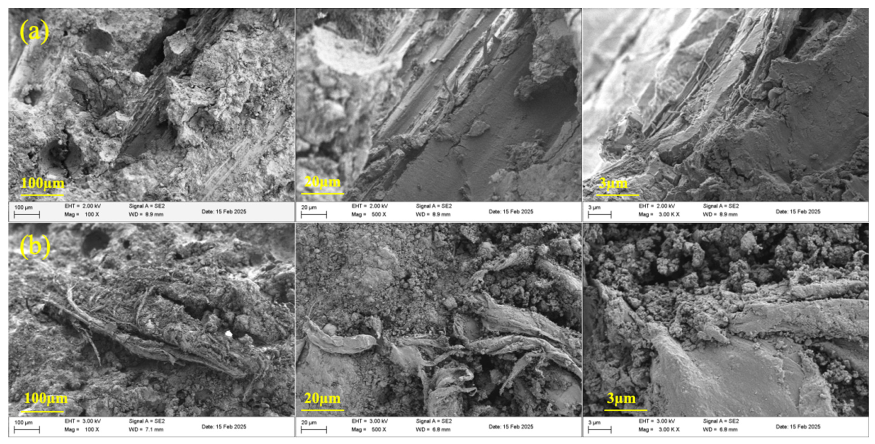 Nanomaterials 15 00993 g017