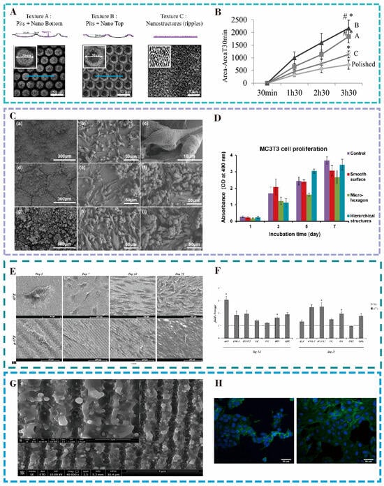 Nanomaterials 15 00999 g003