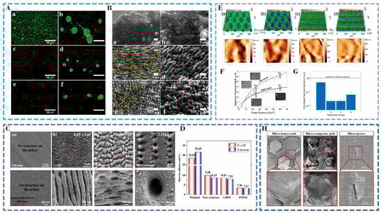 Nanomaterials 15 00999 g004