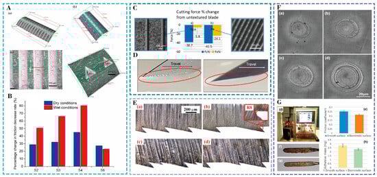 Nanomaterials 15 00999 g006