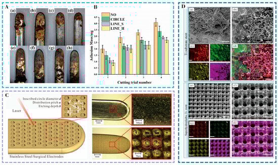 Nanomaterials 15 00999 g007